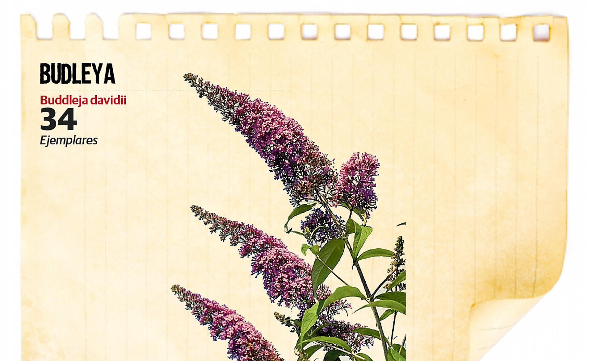 Scroll Story imagen 1