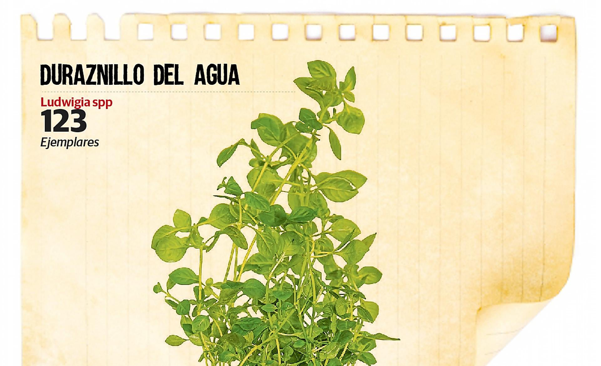 Scroll Story imagen 2