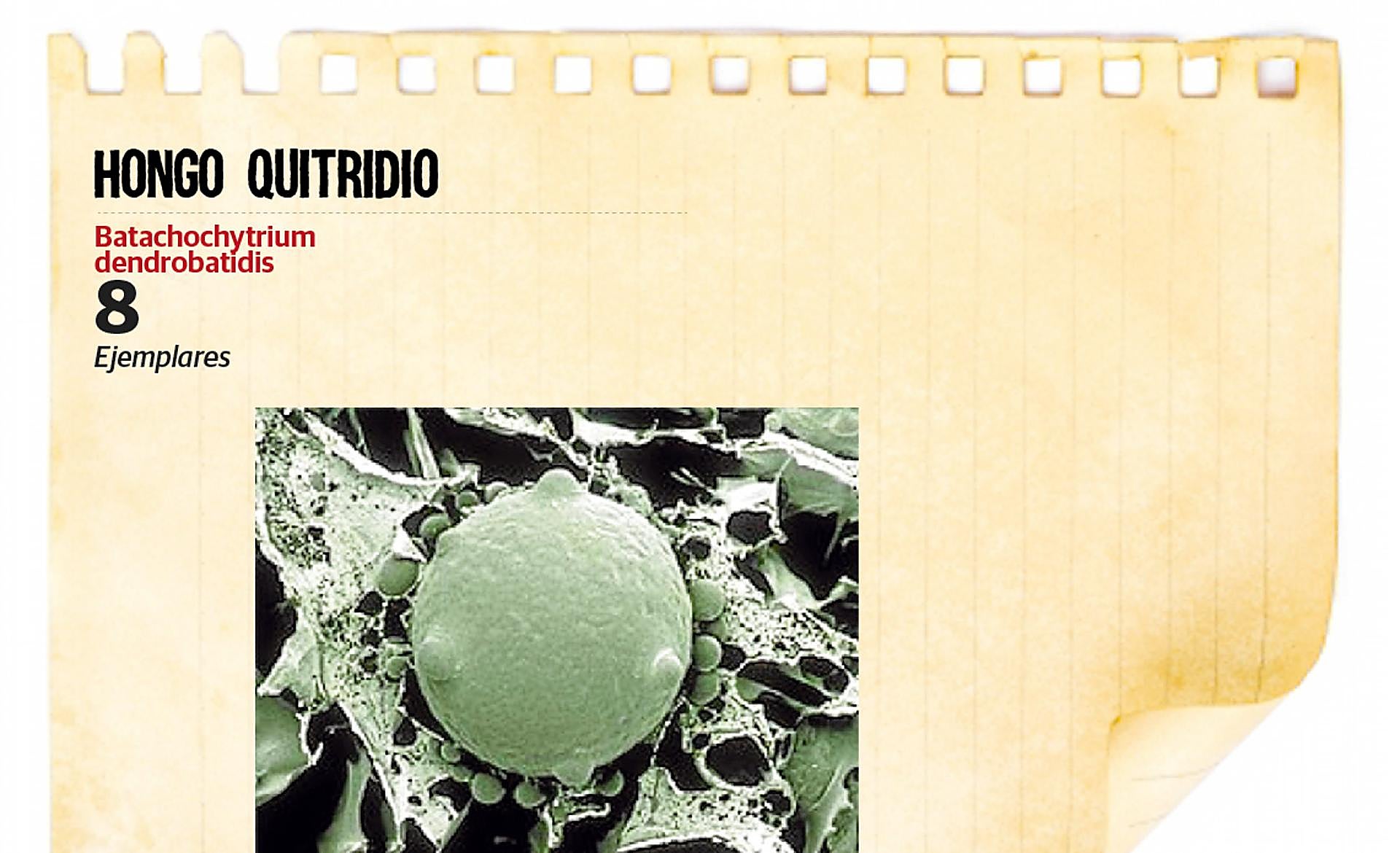 Scroll Story imagen 5