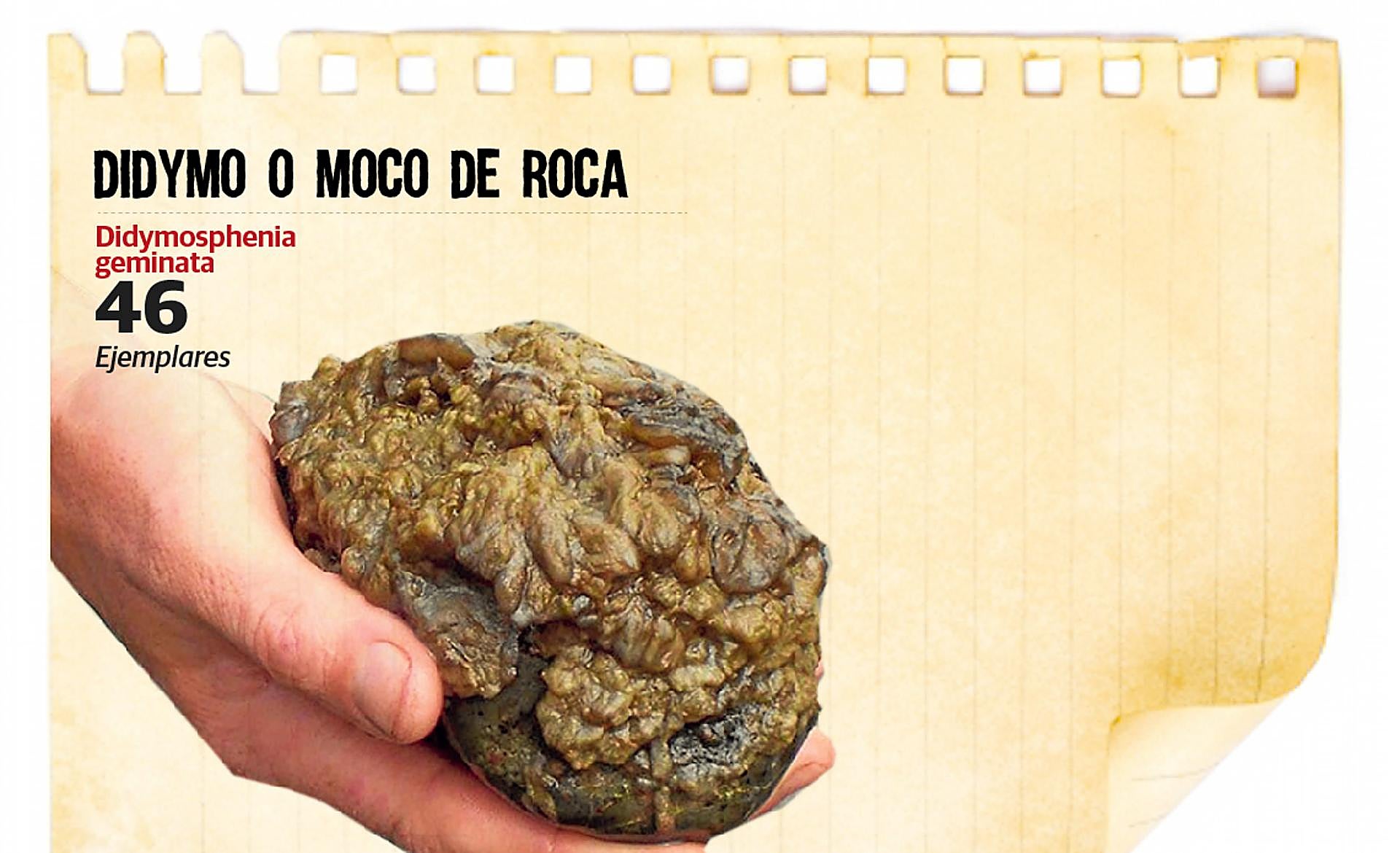 Scroll Story imagen 5