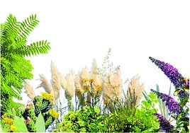 ¿Cuáles son las plantas invasoras más habituales en La Rioja?