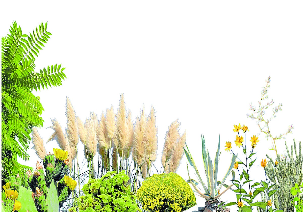 ¿Cuáles son las plantas invasoras más habituales en La Rioja?