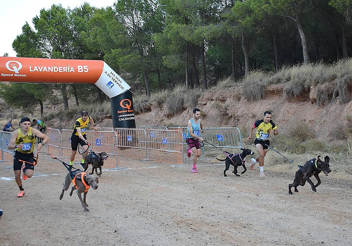 El II Trofeo Mushing Memorial Txema Gurrea reunió a noventa participantes