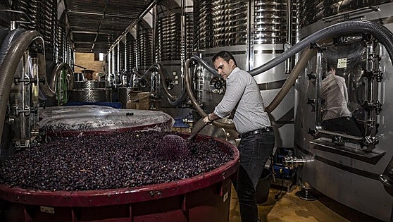 Viticultores de Lapuebla: la magia del viñedo viejo el próximo miércoles 22