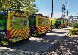 Ambulancias, junto a Urgencias del San Pedro, este miércoles.