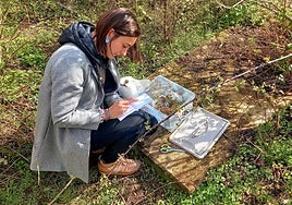 Sofía Moreno, durante el proceso del proyecto 'Flora Memoriae', que se expone en EspacioArteVACA.