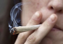 El consumo de la droga en La Rioja sigue un punto por encima de la media