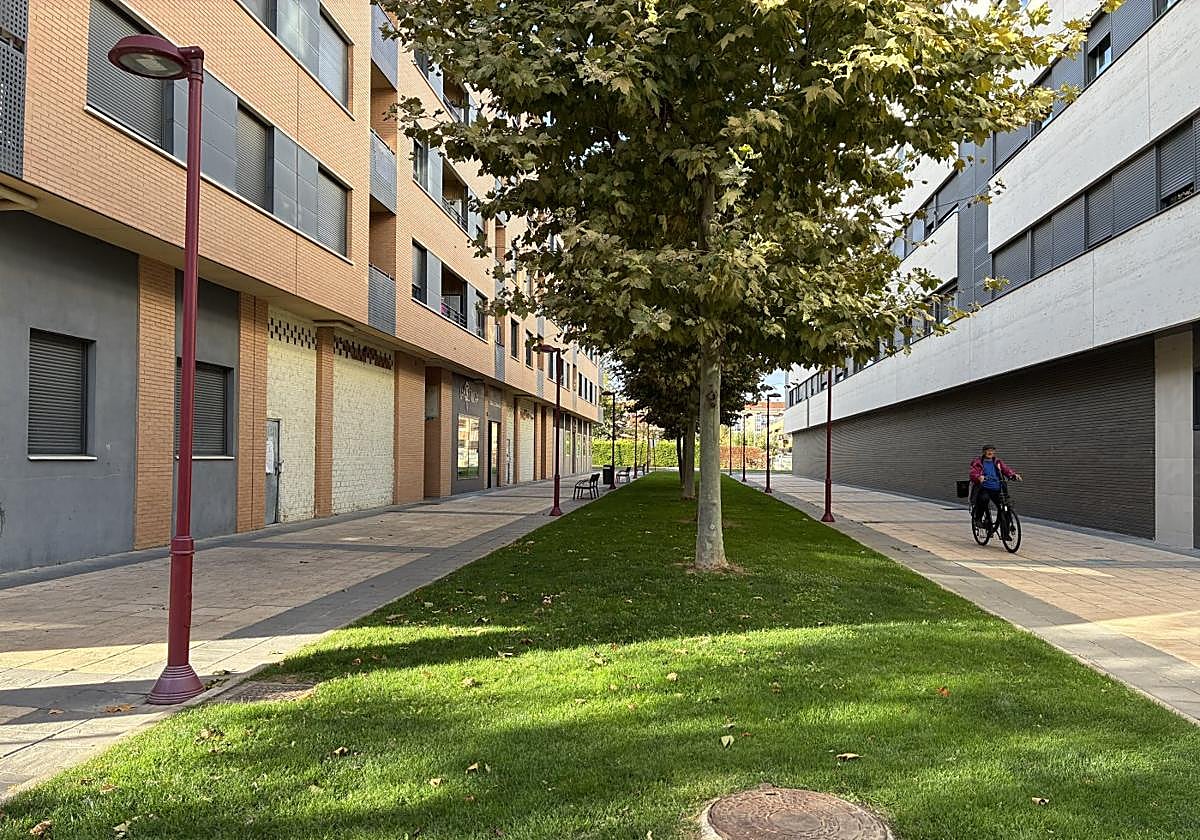 Calle Rafael Alberti, donde hay algunos locales a la venta.