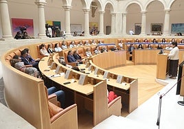 Marina Grijalba durante la lectura del manifiesto en el Parlamento de La Rioja.