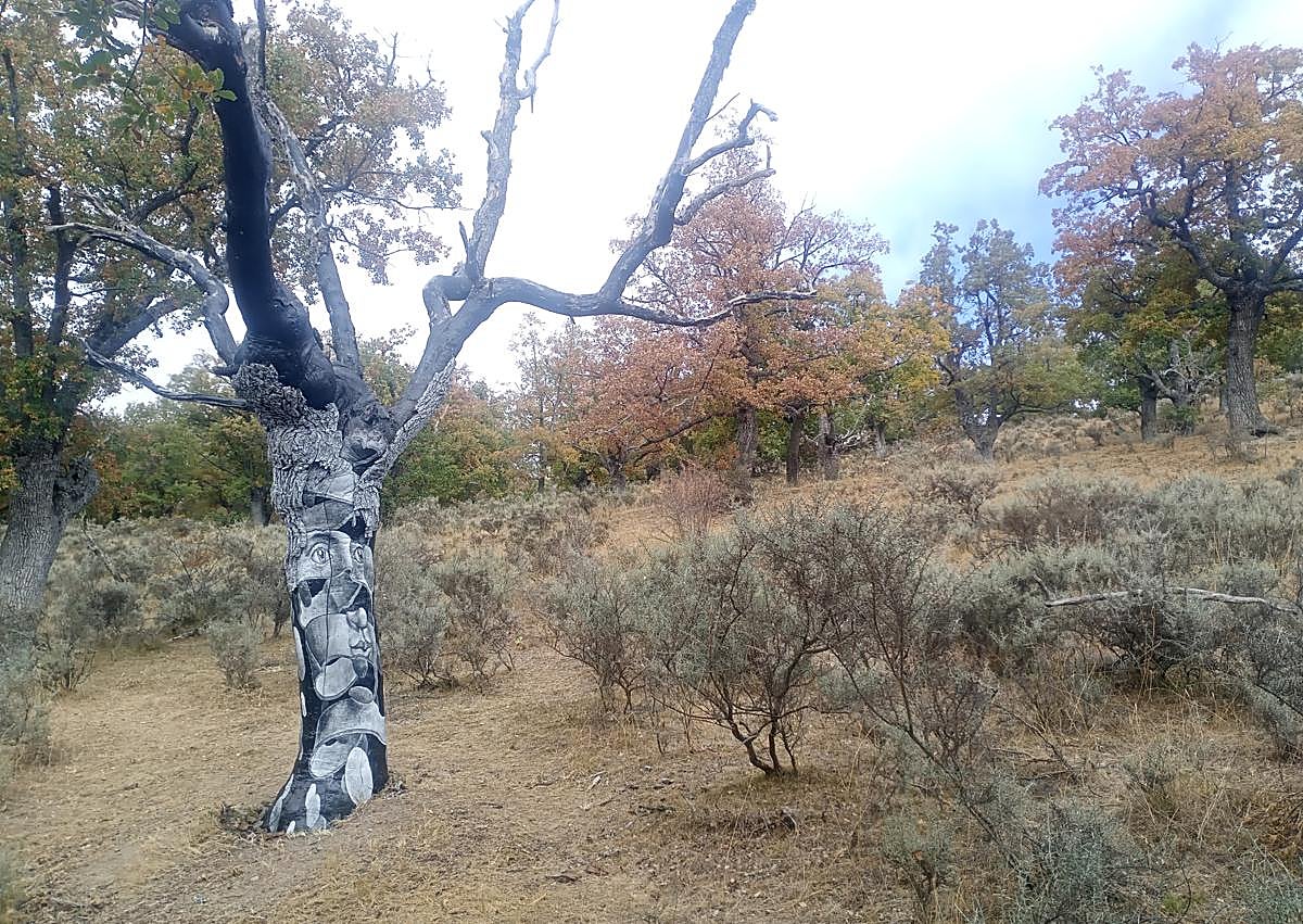 Imagen secundaria 1 - San Román amplía su museo al aire libre