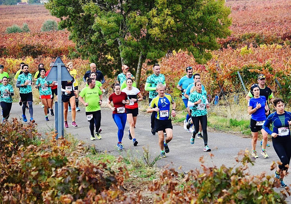Edición anterior de la Carrera Entreviñedos.