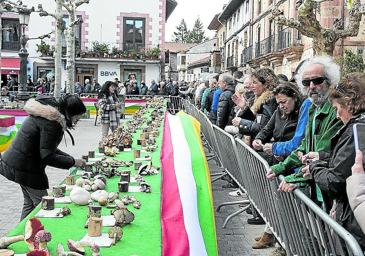 La plaza de la Verdura durante una exposición de setas anterior.