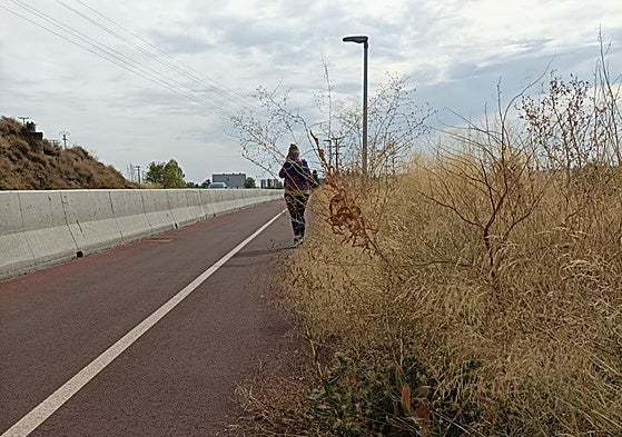El carril ciclopeatonal cercano al polígono industrial de Logroño, hoy en La Guindilla.
