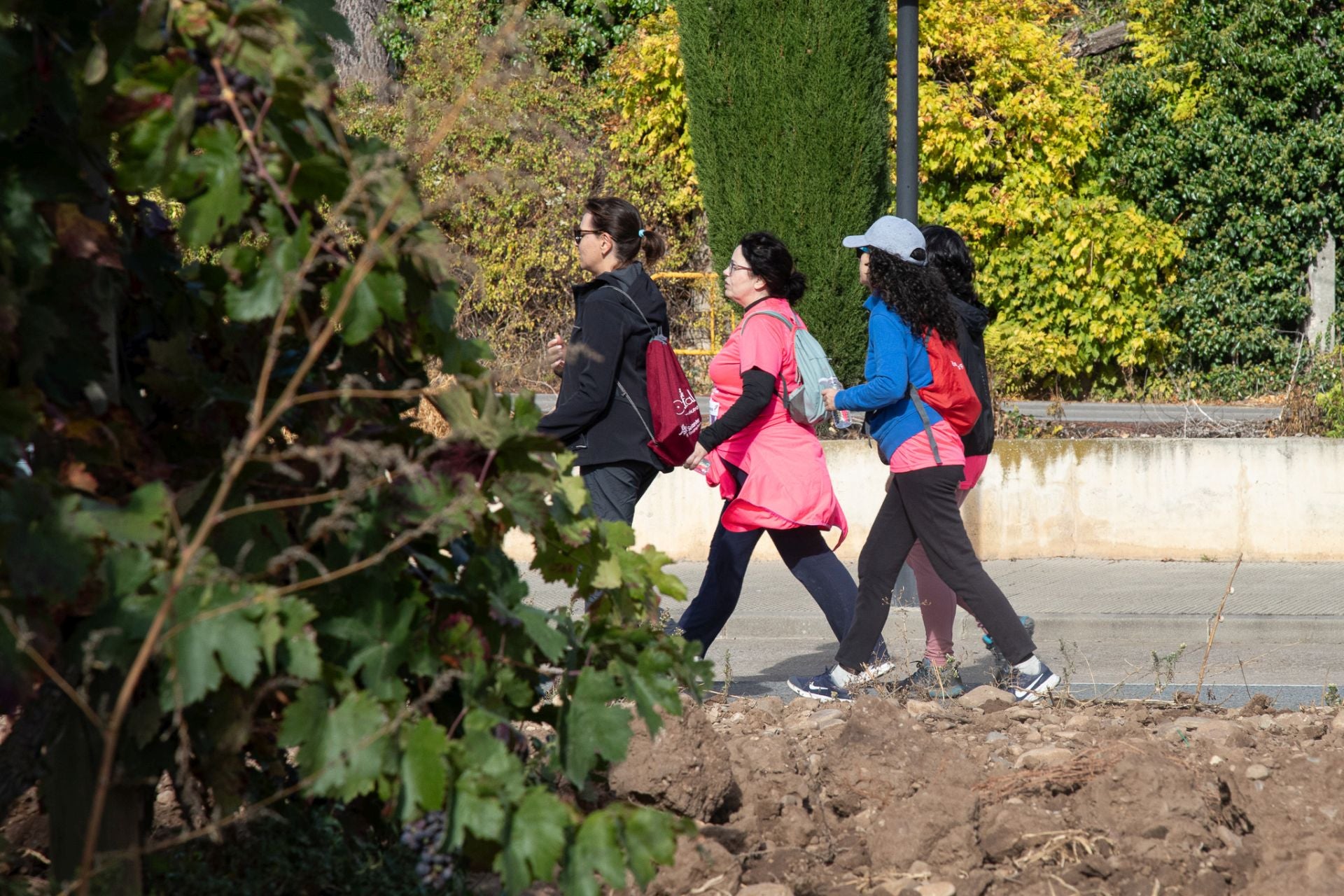 La Carrera entre Viñedos, en imágenes