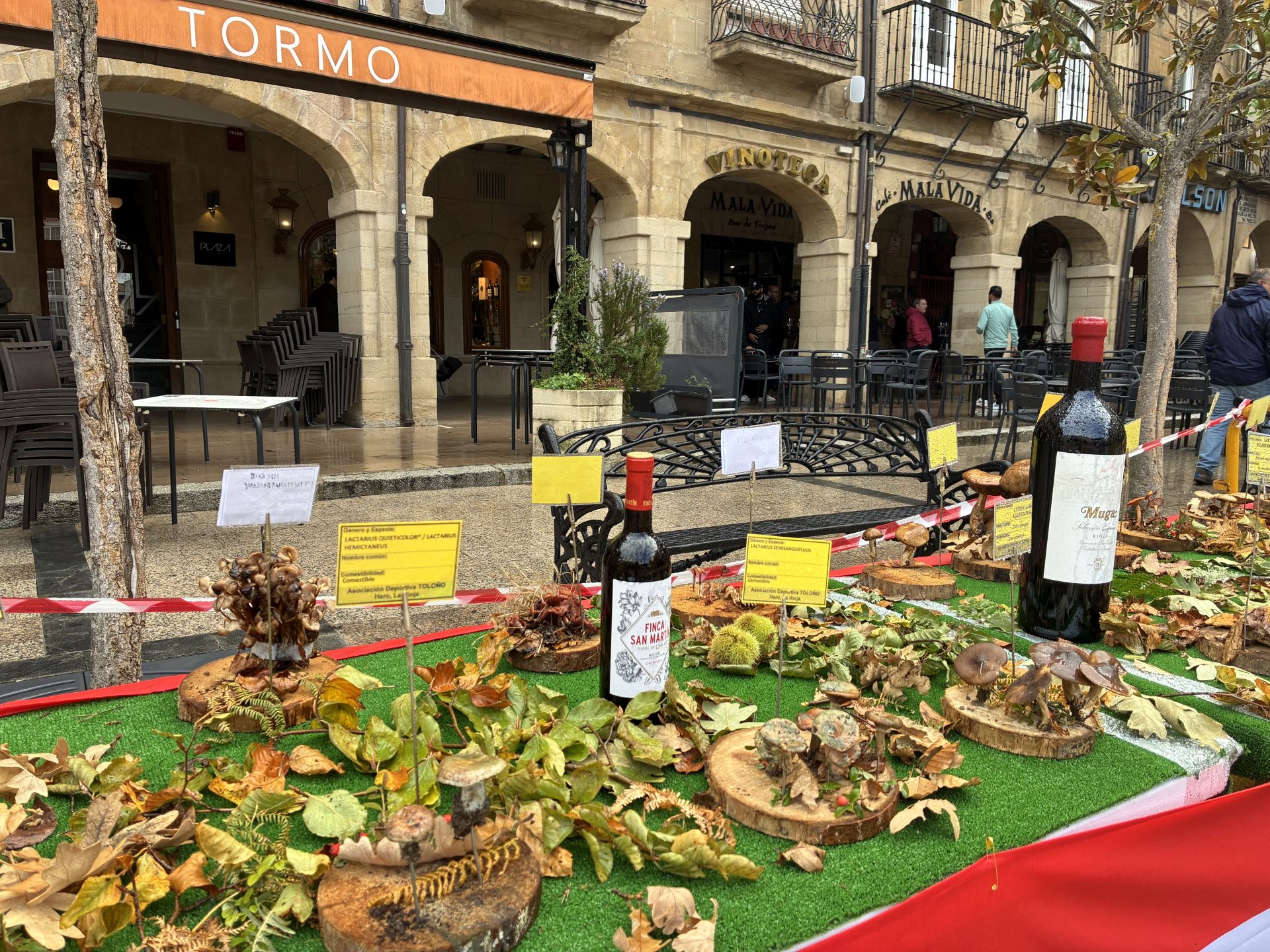 Las XXXI Jornadas Micológicas Jarreras, en imágenes