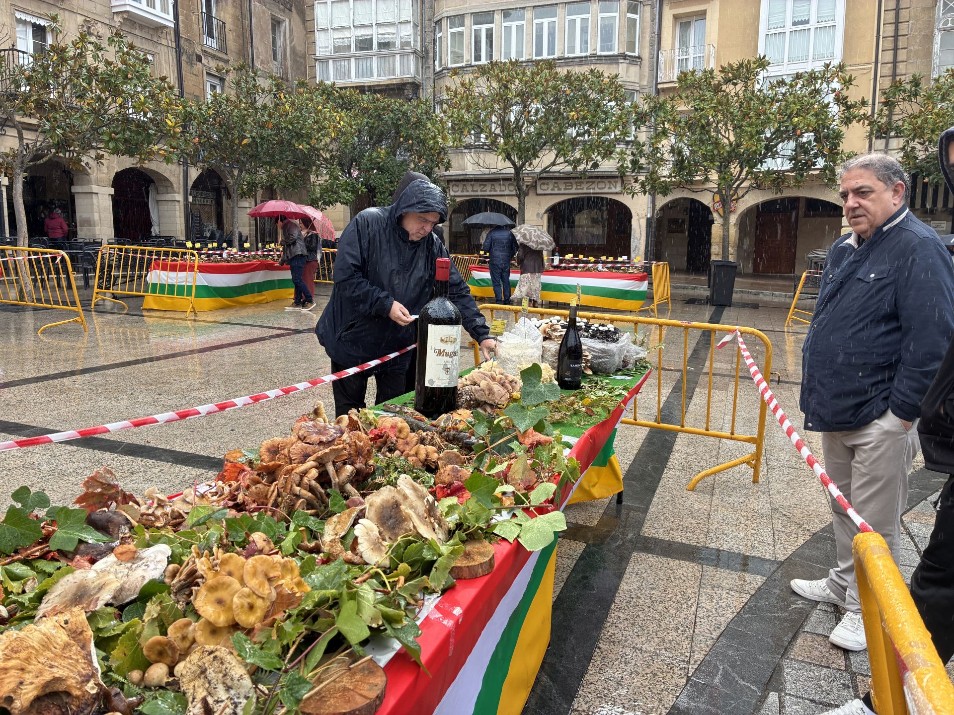 Las XXXI Jornadas Micológicas Jarreras, en imágenes