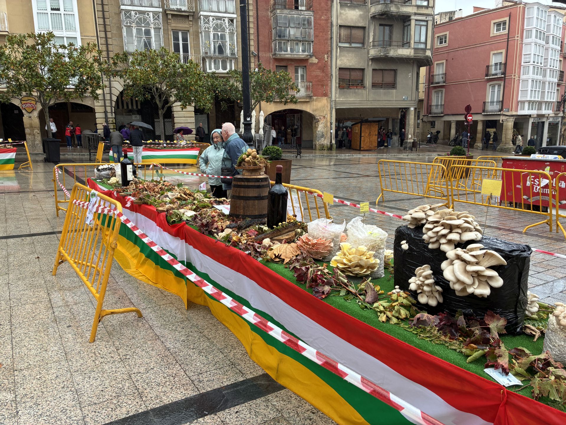 Las XXXI Jornadas Micológicas Jarreras, en imágenes