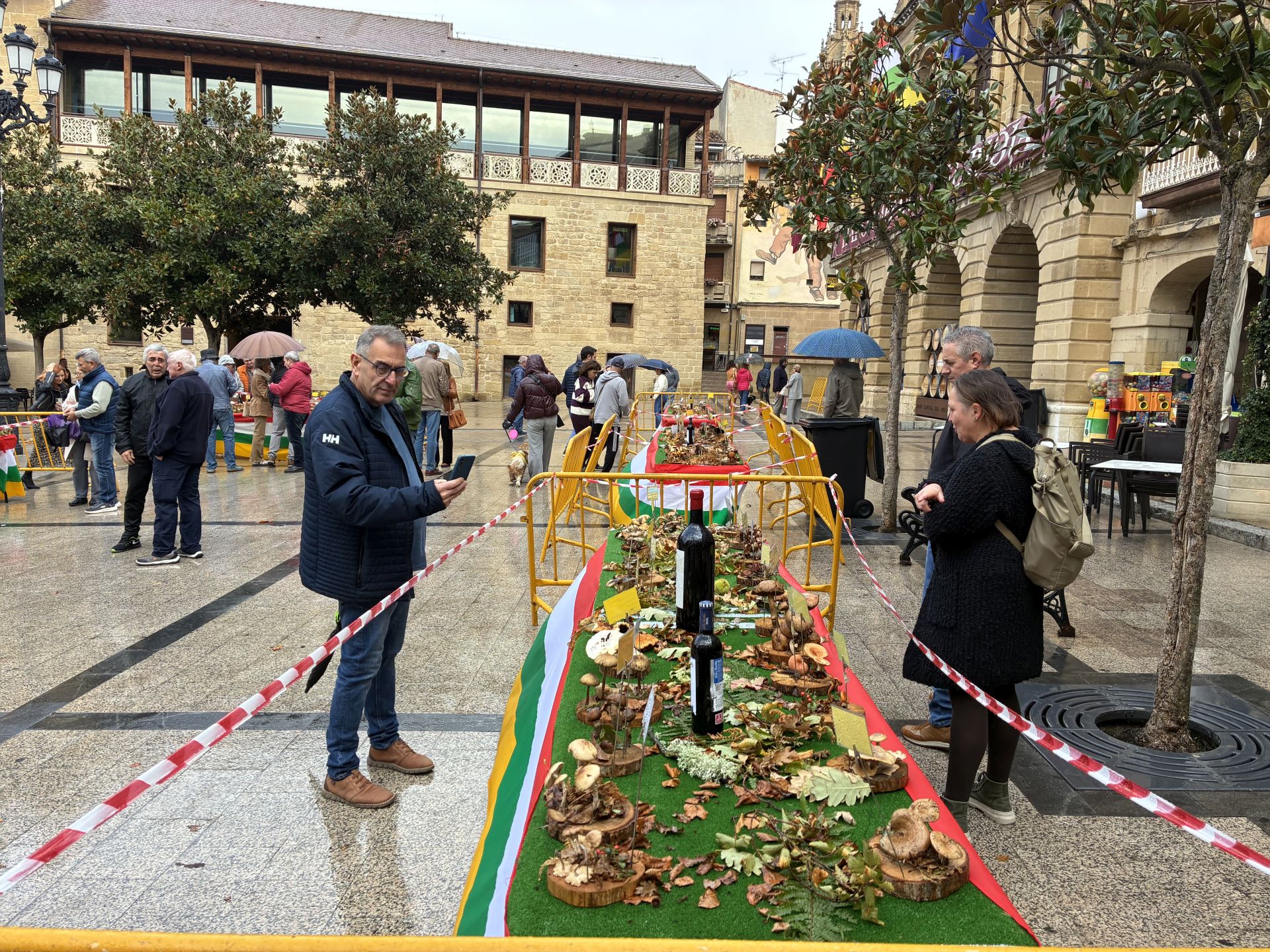 Las XXXI Jornadas Micológicas Jarreras, en imágenes