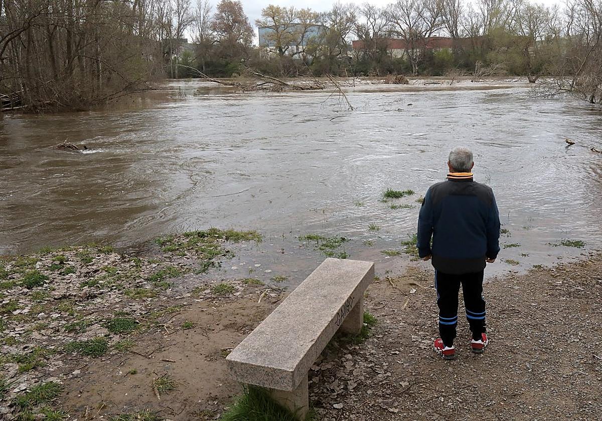 El Ebro a su paso por Logroño en una crecida reciente.