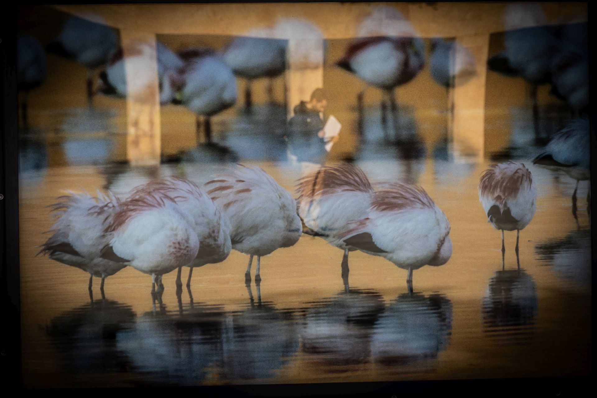 La exposición &#039;Colores del mundo&#039;, por las calles de Logroño