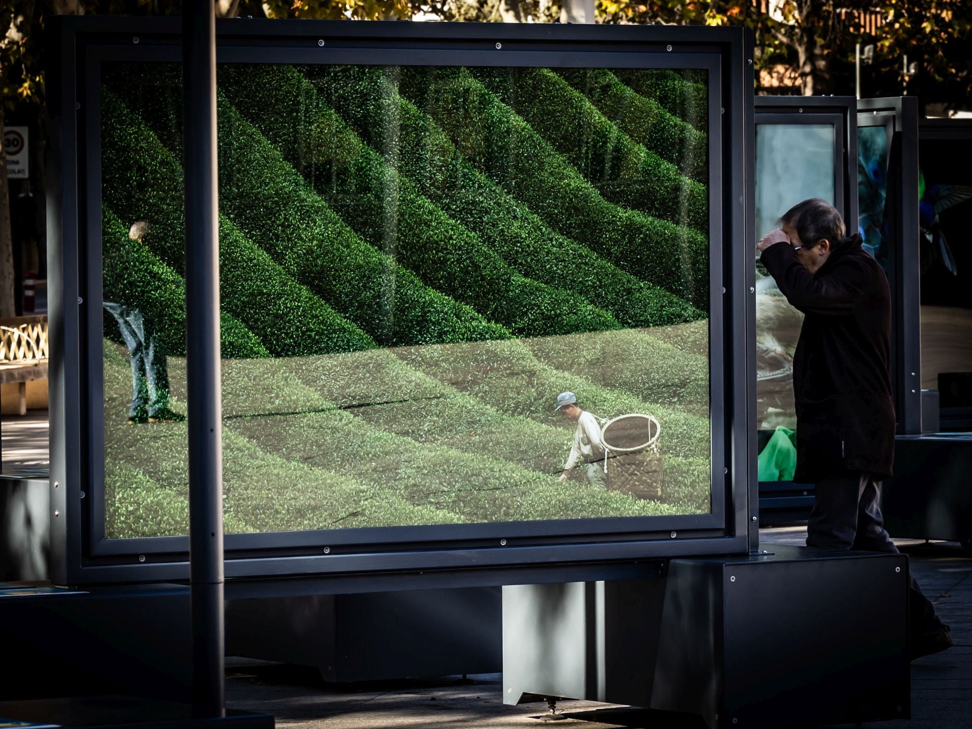 La exposición &#039;Colores del mundo&#039;, por las calles de Logroño