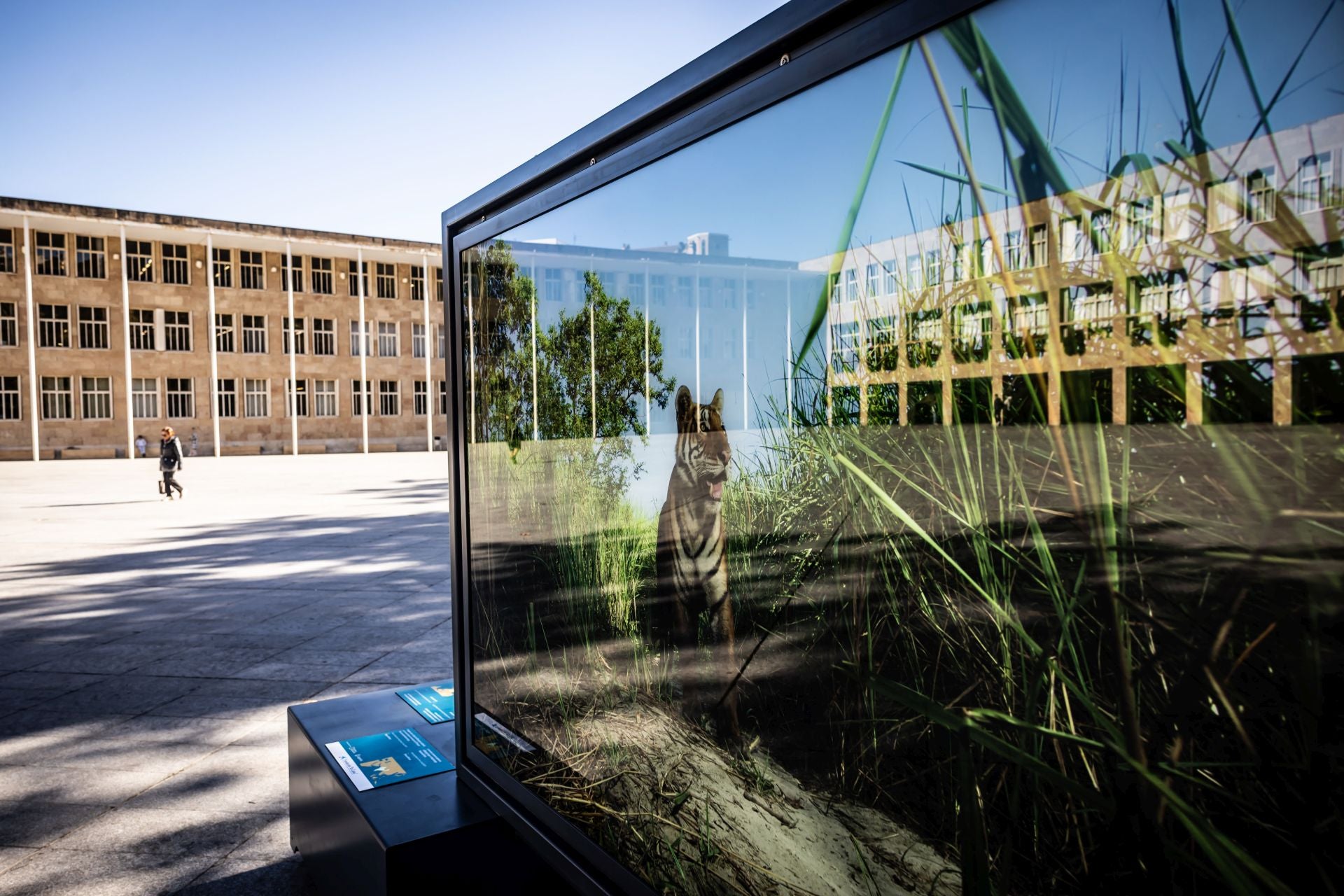 La exposición &#039;Colores del mundo&#039;, por las calles de Logroño