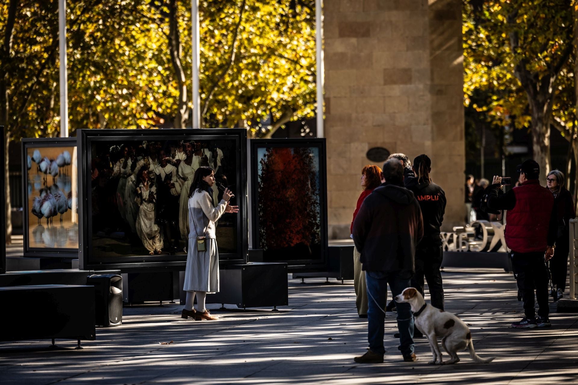 La exposición &#039;Colores del mundo&#039;, por las calles de Logroño