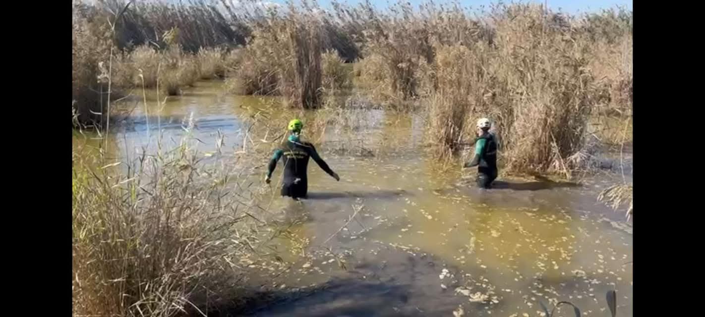 La colaboración de los riojanos en Valencia