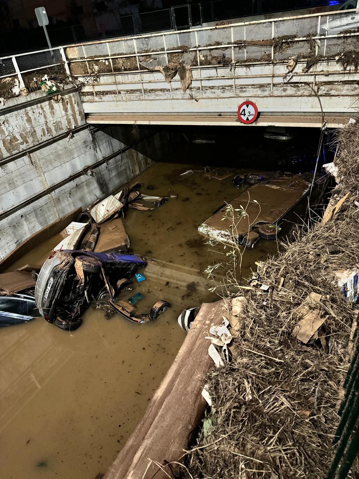 La colaboración de los riojanos en Valencia