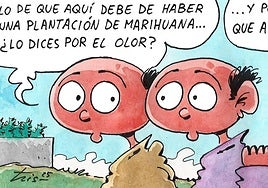 La plantación de marihuana en Arrúbal, según Tris