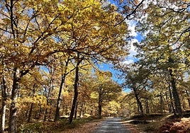 El otoño transforma los paisajes riojanos