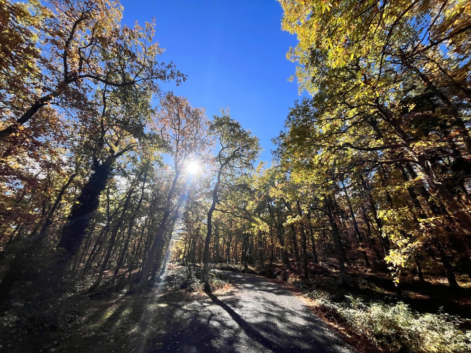 El otoño transforma los paisajes riojanos
