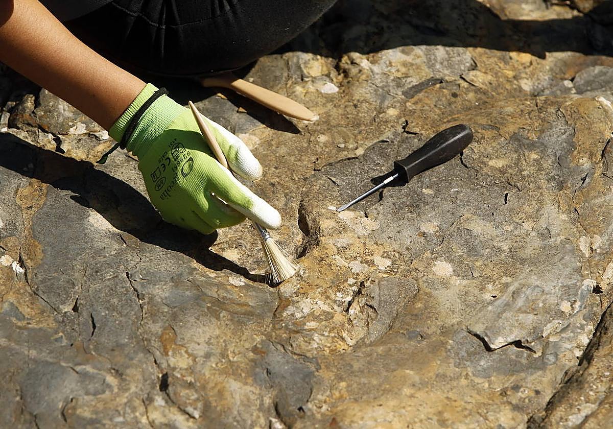 Yacimiento en Enciso.