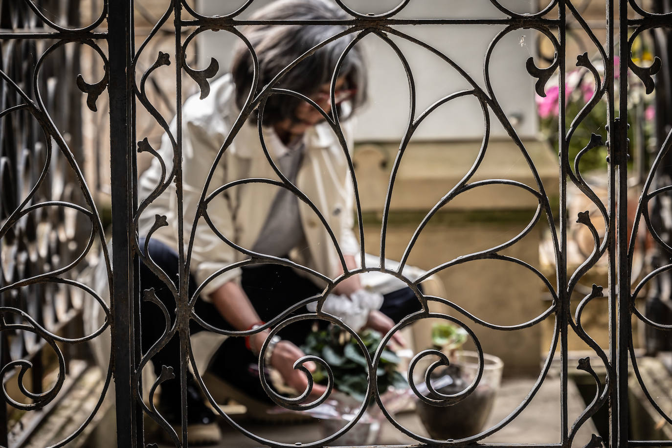 Cementerio de Logroño