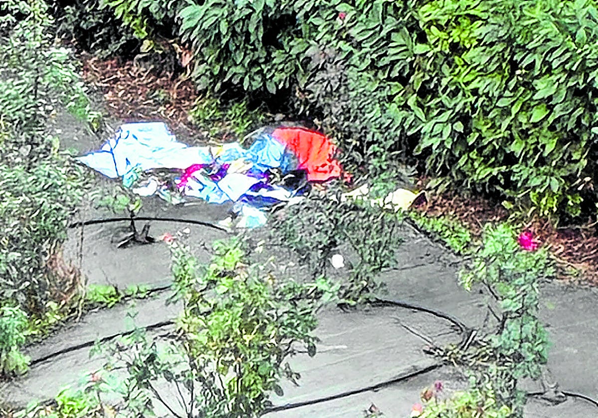 Autobuses, médicos y agradecimientos en el Teléfono del Lector de hoy