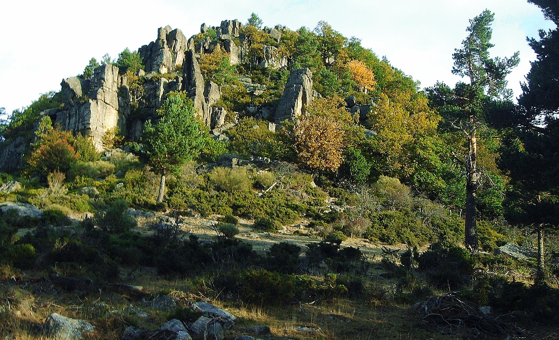 Scroll Story imagen 1