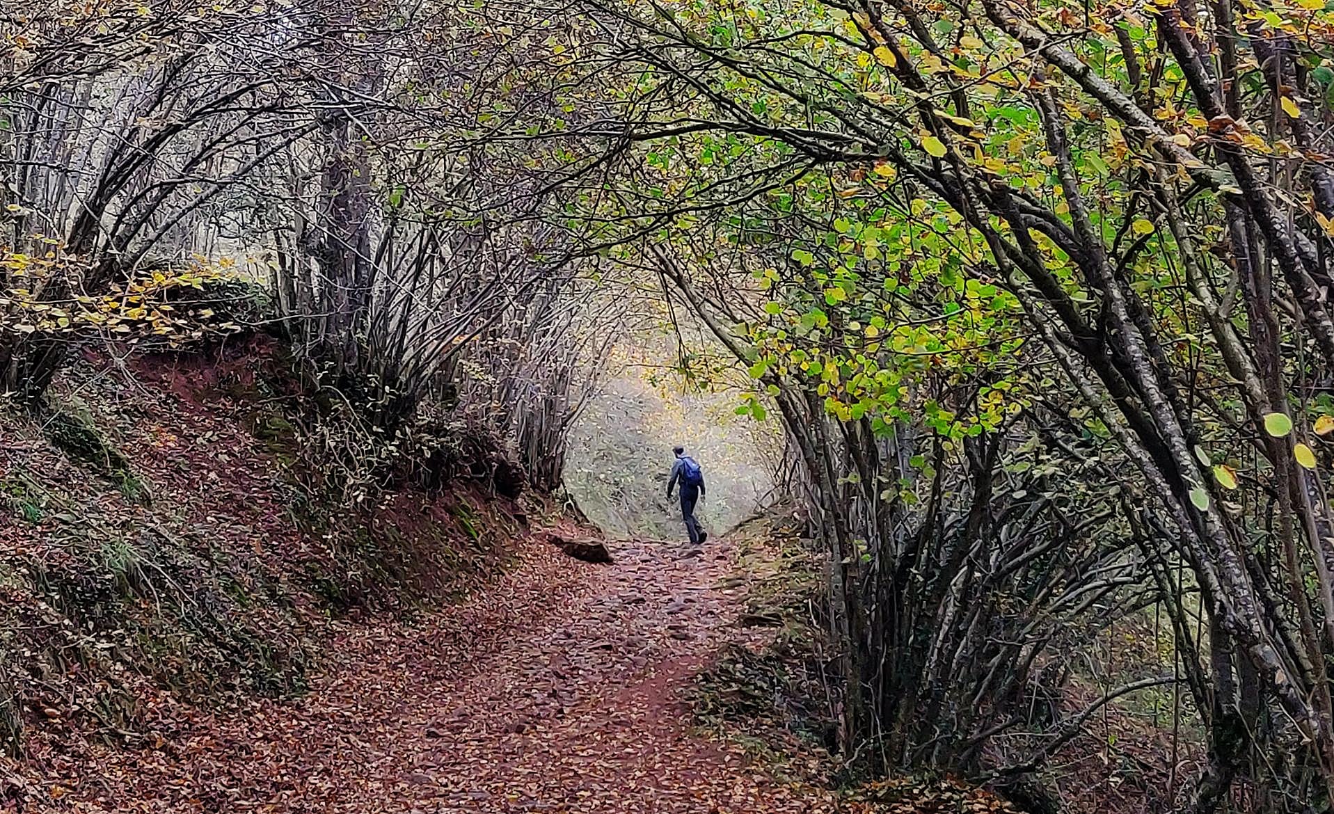 Scroll Story imagen 3