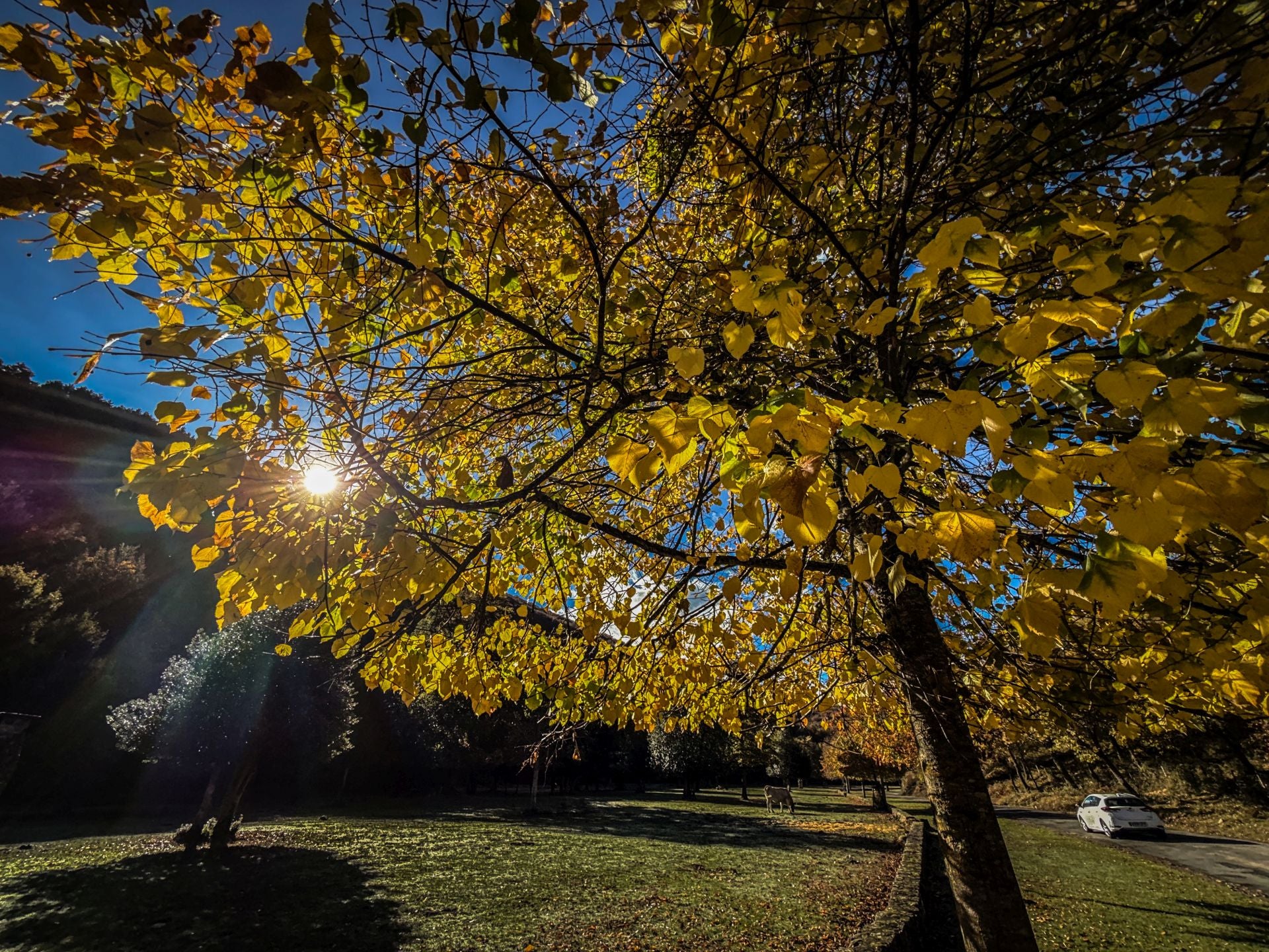 Área recreativa del Achichuelo