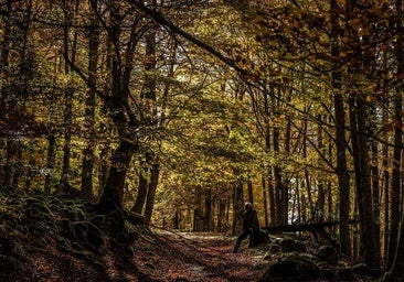 Las imágenes del otoño en La Rioja