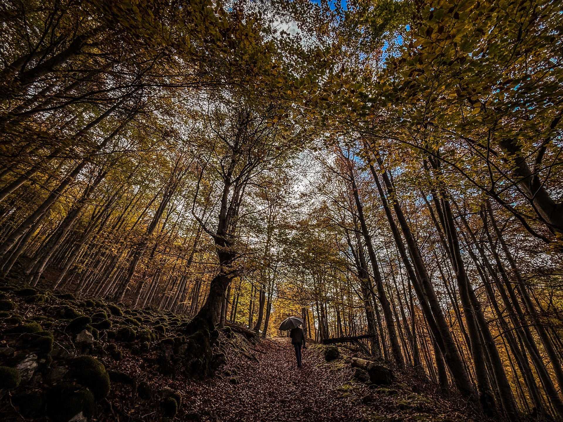 Alrededores de la ermita de la Virgen de Lomos de Orios