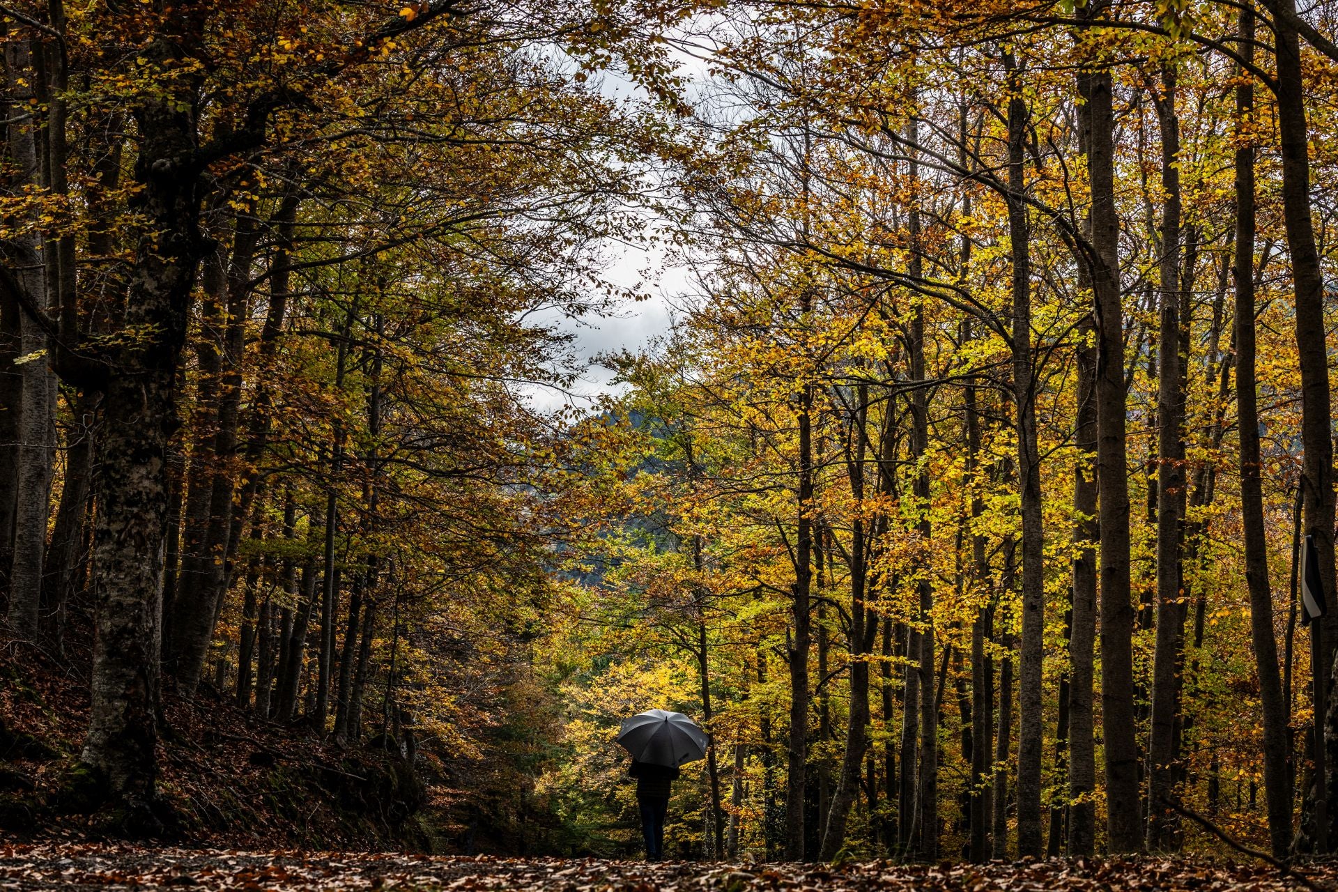 Alrededores de la ermita de la Virgen de Lomos de Orios