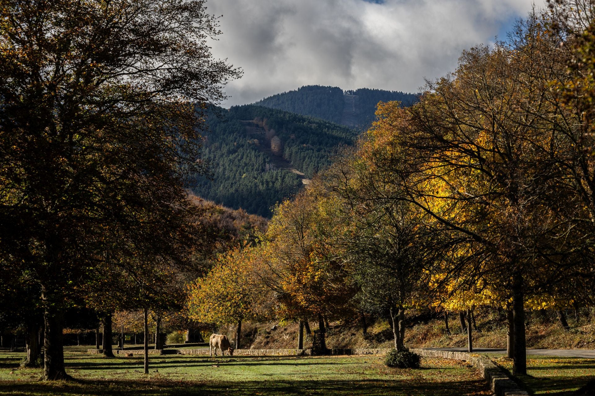 Alrededores de la ermita de la Virgen de Lomos de Orios