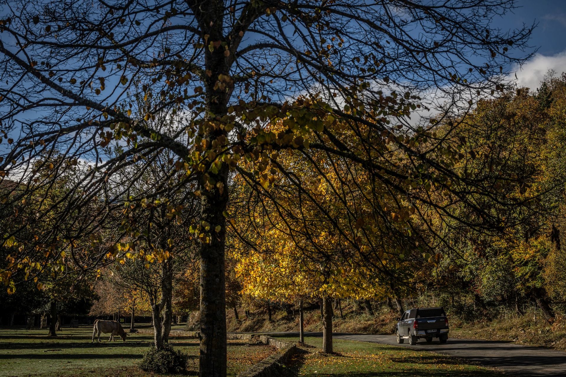 Área recreativa del Achichuelo