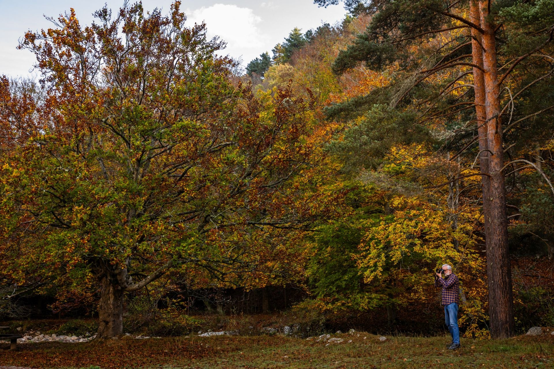 Área recreativa del Achichuelo