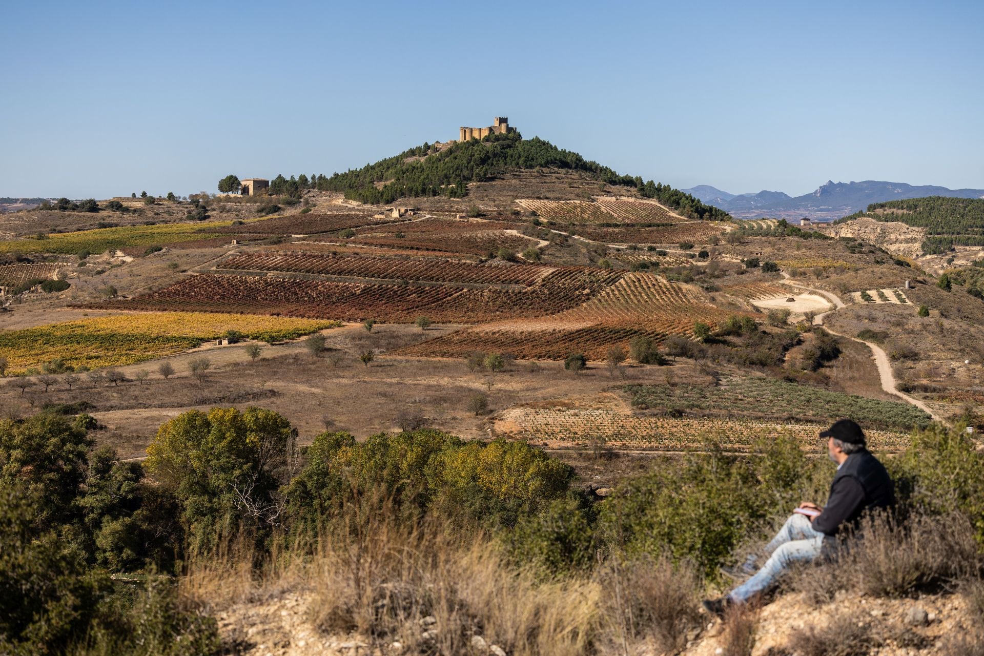 Entorno del castillo de Davalillo, en San Asensio