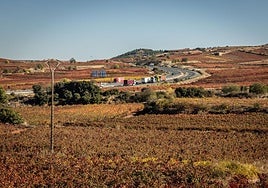 Alternativa 4. La vía iría paralela al trazado de la A-68, entre viñas, como las situadas entre Cenicero y San Asensio.