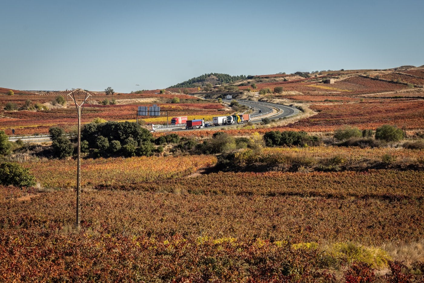 Alternativa 4. La vía iría paralela al trazado de la A-68, entre viñas, como las situadas entre Cenicero y San Asensio.