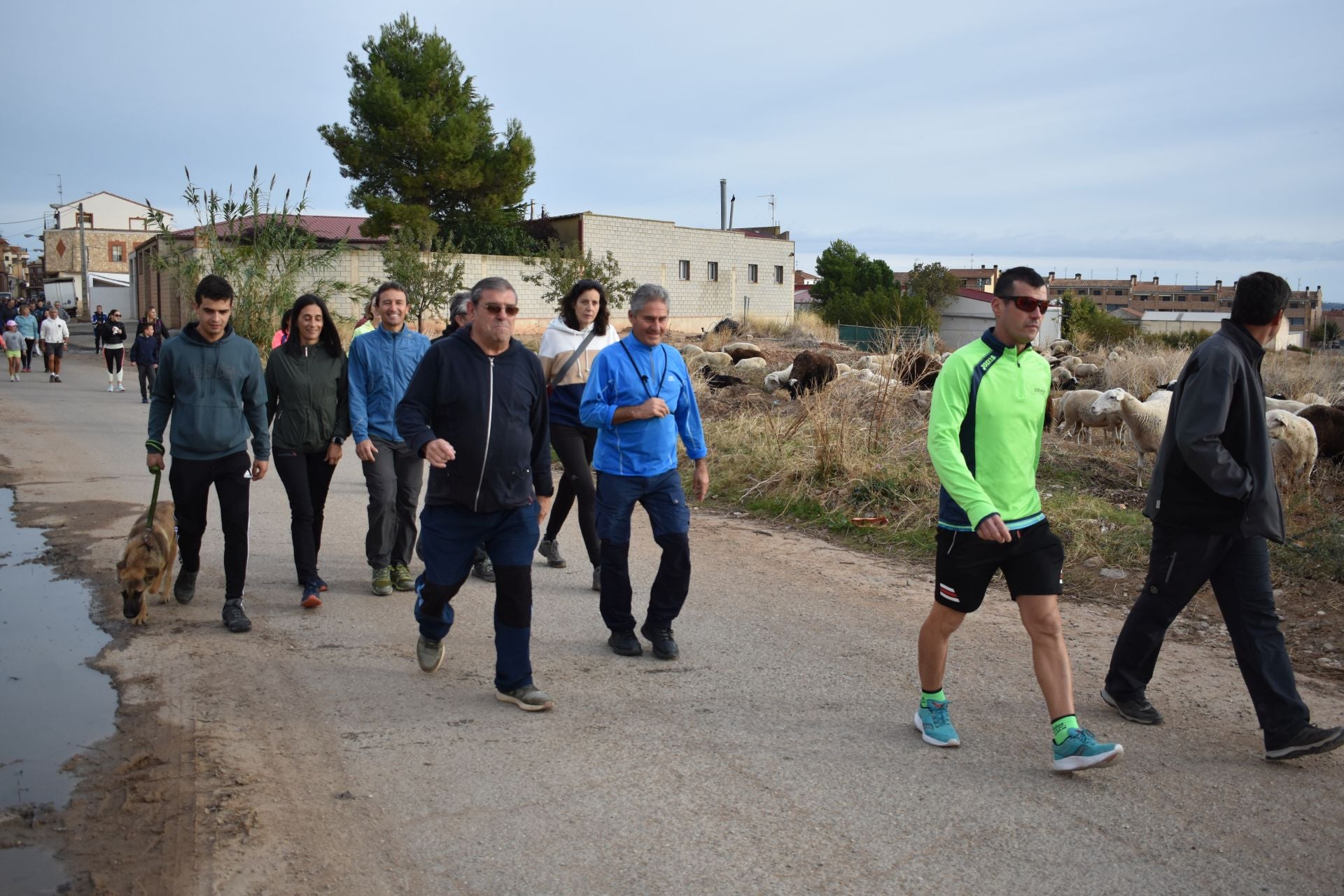 Las imágenes de la marcha contra el cáncer en Aldeanueva