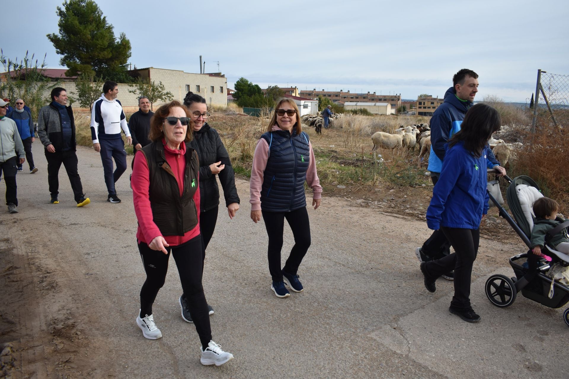 Las imágenes de la marcha contra el cáncer en Aldeanueva