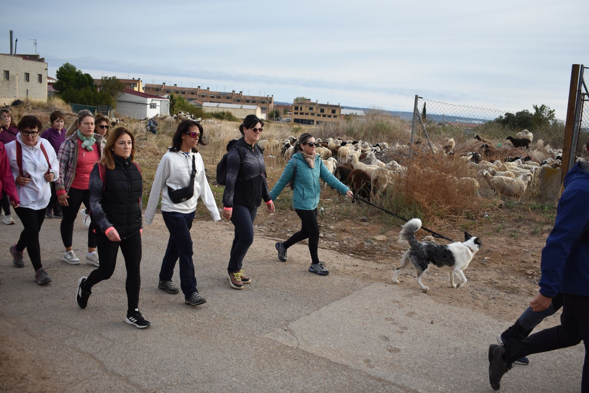 Las imágenes de la marcha contra el cáncer en Aldeanueva